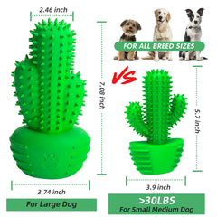 Pamlulu baton brosse dentaire, durable pour chiens actifs.
