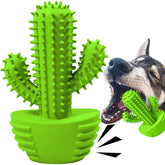 Jouet Pamlulu brosse dentaire baton pour chien, nettoyage en douceur.