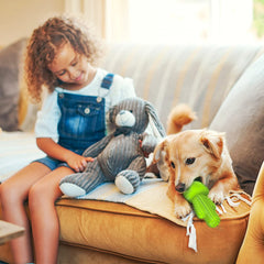 Pamlulu - Jouet-durable-pour-chiots, résistance pour chiots actifs