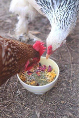 Pampered Chicken Mama – herbes séchées pour coop, arômes attractifs.