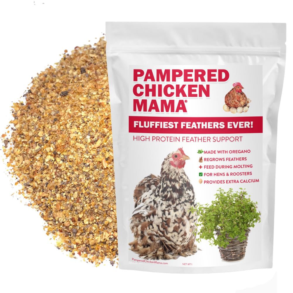 Pampered Chicken Mama supplément mue poules en boîte 6 livres, pratique et économique.