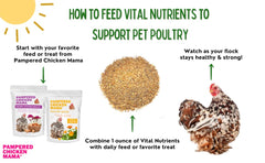 Pampered Chicken Mama Vitamines pour poulets — ajout facile dans l'alimentation journalière.