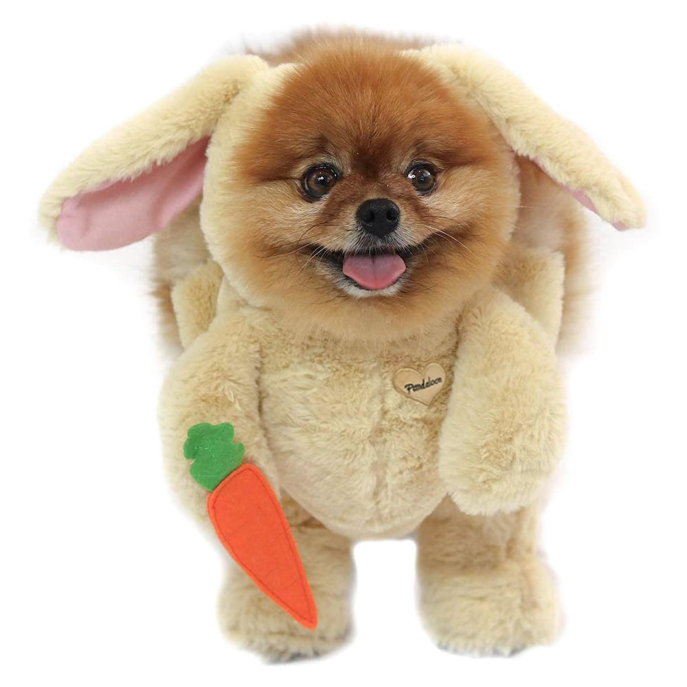 Pandaloon costume chien lapin vu sur Shark Tank, pour meilleure visibilité et buzz.