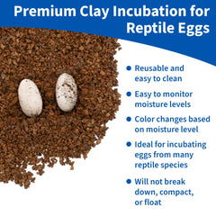Pangea Hatch Substrat premium avec texture argileuse adaptée à l’incubation