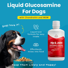 Paramount Pet Health chien de tout âge, mobilité renforcée grâce au complément.