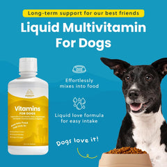 Mélange Paramount Pet Health 8 en 1, donne énergie et vitalité à votre chien.