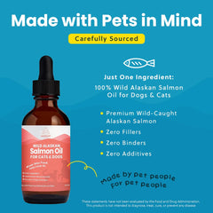 Chat au pelage brillant grâce à Paramount Pet Health.