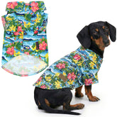 Parisian Pet chemise chien florale — parfaite pour sorties estivales et photos.