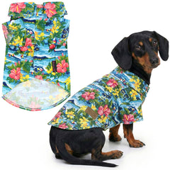Parisian Pet chemise chien florale — parfaite pour sorties estivales et photos.