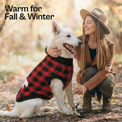 Parisian Pet: motif à carreaux Buffalo, pull chaud et confortable pour l’automne.