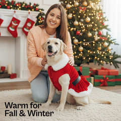 Parisian Pet fourrure-col-blanc-dress : col cosy et détail élégant.