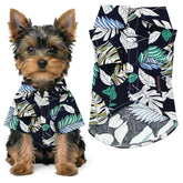 Parisian Pet vetement chien imprimé feuilles-palmes bleu, parfait pour sorties estivales.
