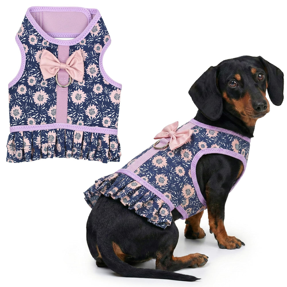 Parisian Pet harnais robe florale-chien, look élégant pour promenades quotidiennes.