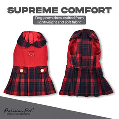 Robe Parisian Pet pour chien, jupe plissée, allure chic.