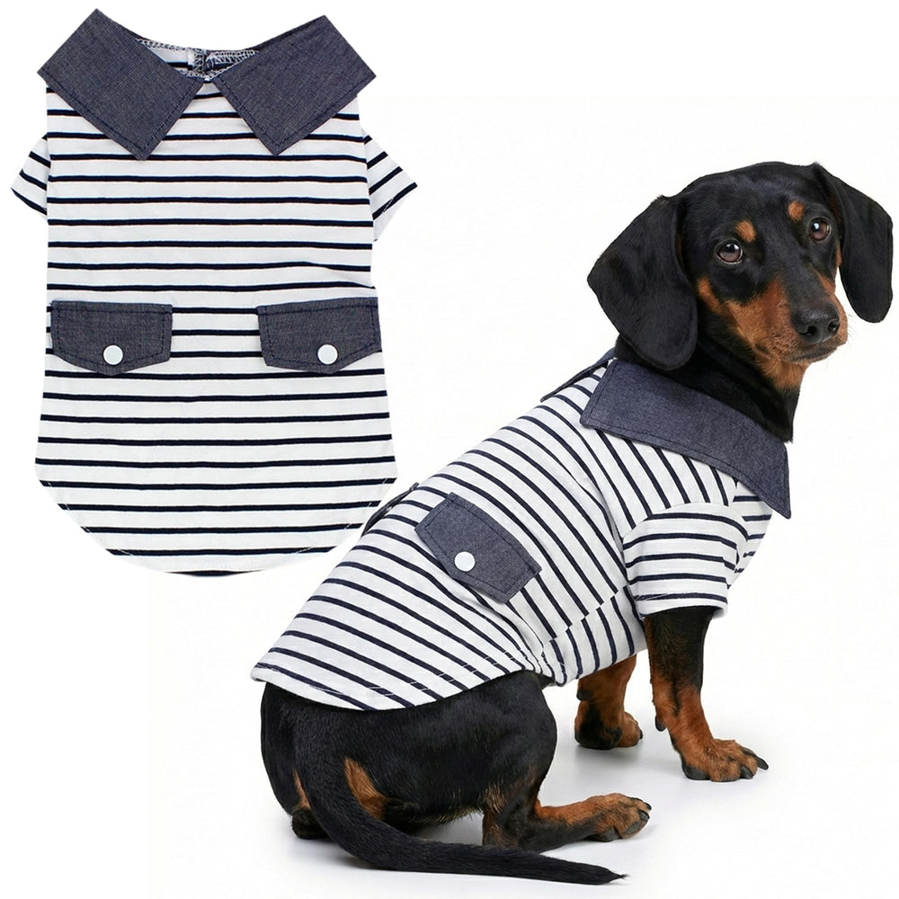 Parisian Pet Preppy Boy Polo: coton doux, confort quotidien pour chien.
