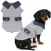 Parisian Pet Preppy Boy Polo: coton doux, confort quotidien pour chien.