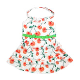 Robe Parisian Pet pour chien en coquelicot rouge, idéale pour sorties estivales.