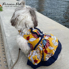 Sangles magiques et Velcro de Parisian Pet pour enfiler rapidement sans stress.
