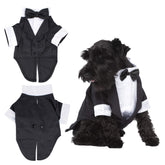 Robe smoking Parisian Pet noire avec chemise blanche et noeud papillon, élégance canine.