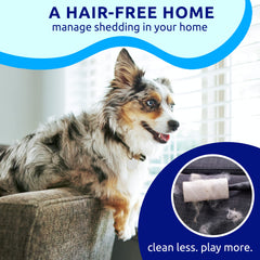 Pat Your Pet, face à 17 dents, réduction des nœuds et poils tenaces.