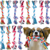 Jouet corde Paterr multicolore pour chien, stimule le jeu et la vue