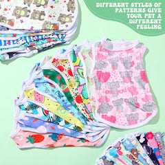 Paterr tee-shirt chien graphisme dessin animé, look ludique et tendance.
