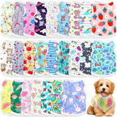 Paterr tee-shirt chien imprimé 25 styles, prêt pour l'été et les sorties.