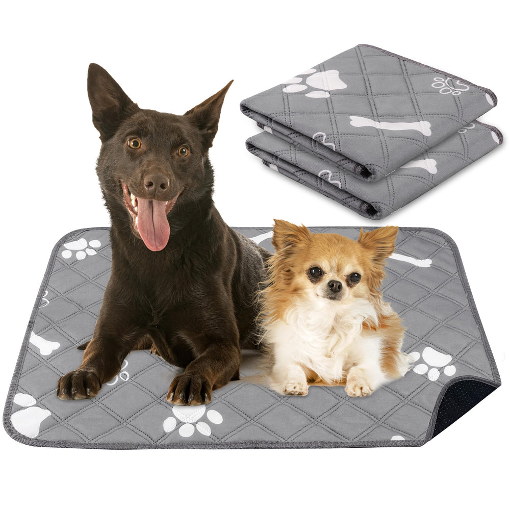 PatiencET tapis-pipi reutilisable 18x24 pour chien, apprentissage propre