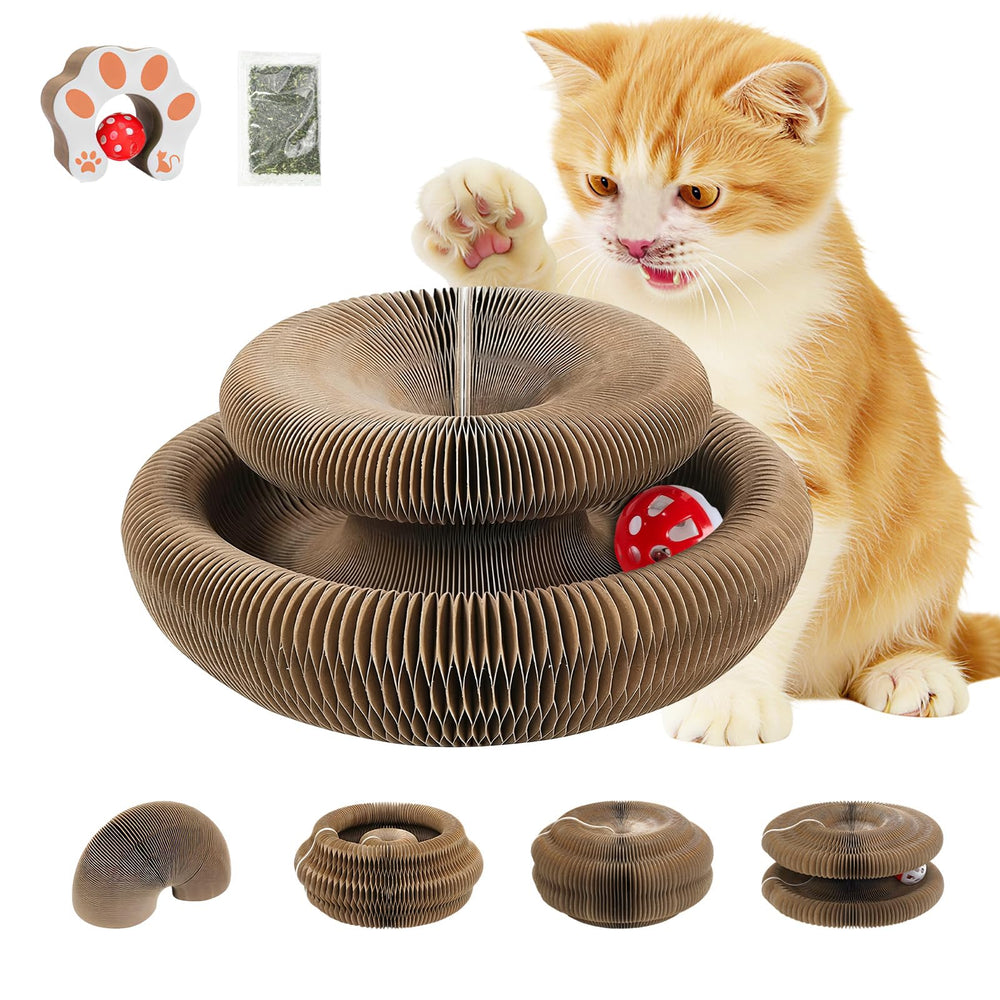PAUSZUQ griffoir chat organ magique pliable pour jeu et exercice