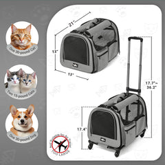 PAW BALLET roues-360-omnidirectionnelles-silencieuses: déplacement en douceur sur toutes les surfaces