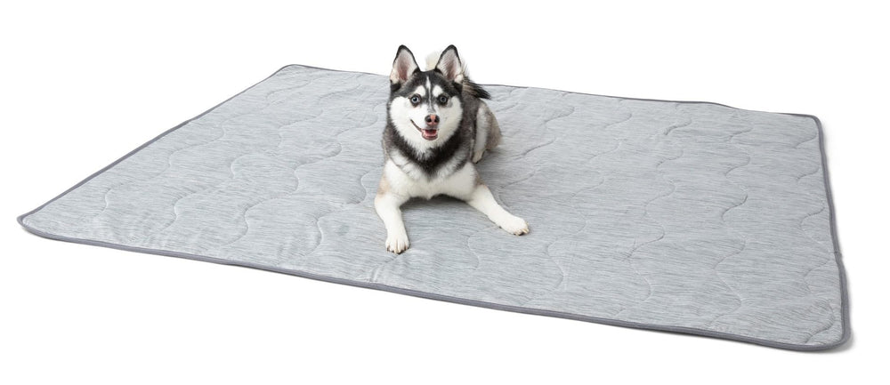 PAW BRANDS PupChill couverture refroidissante arctique gris 60x50 pour chien ou chat