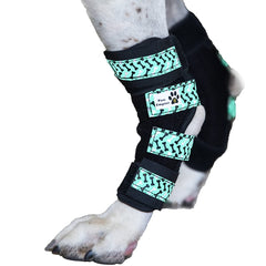 Attelle Paw Empire pour patte arrière du chien, soutien renforcé pour récupération.