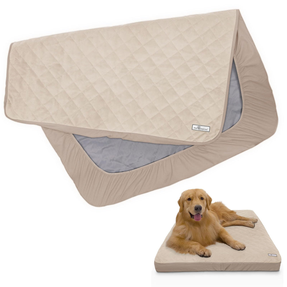 Paw Inspired : housse impermeable lit chien, protection contre fuites et taches