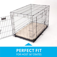 Paw Inspired tapis caisse design multi-couche améliore absorption et odeurs.