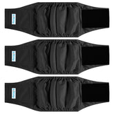 Paw Legend – bande ventrale pour chien mâle noir en lot de 3, pratique au quotidien.