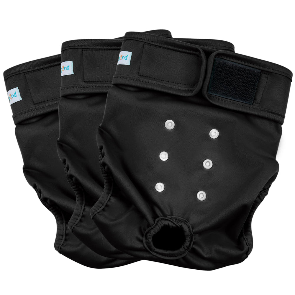 Paw Legend lot 3 couches femelles, solution pratique pour chienne en chaleur.