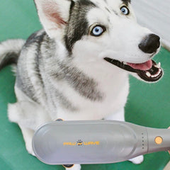 PAW WAVE PERK aide à prévenir les blessures lors des sessions d’agilité.
