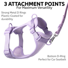 Laisse PAWADISE lilas utilisation quotidienne pour promenade confortable.