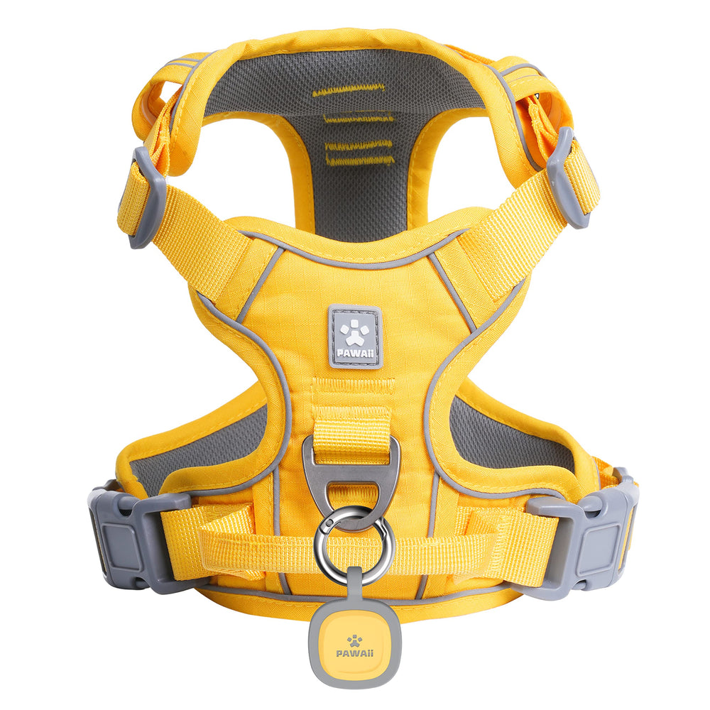 Harnais Pawaii anti-traction - vue avant, contrôle sans tirage pendant les promenades.