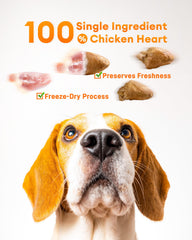 Pawaura Coeurs de Poulet Lyophilisés morceaux croustillants comme récompense savoureuse