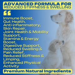 Ingrédients Pau D’Arco et Ginger dans PawBliss, formulation naturelle pour le bien-être.