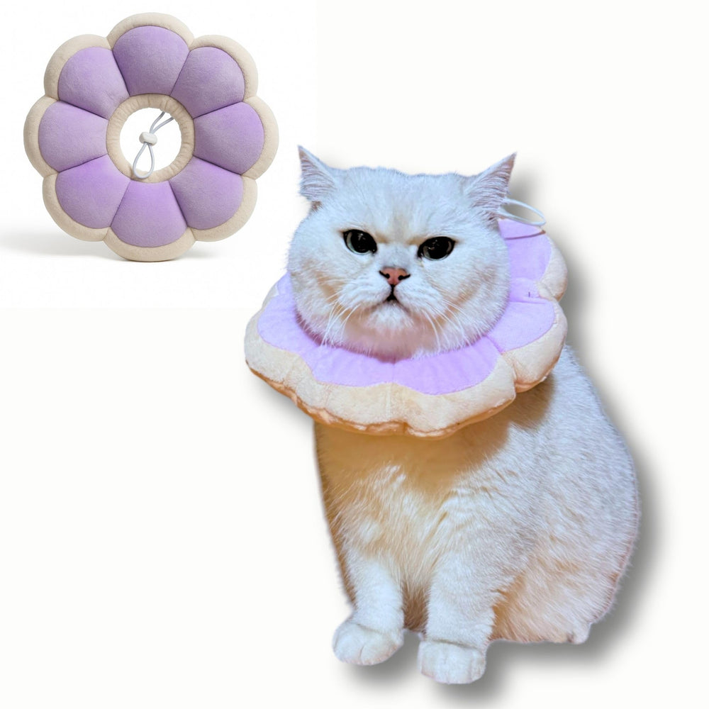 Pawcratean collier Elizabeth fleur aperçu: confort doux et apparence charmante pour votre animal.
