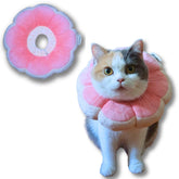 Pawcratean collier Elizabeth fleur rose, confort léger pour chats et chiots.