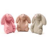 Pawdoer lapin siffleur pour chien moyen bleu, stimulation ludique et récupération.