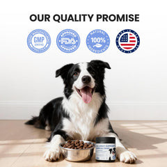 Pawfect Vita peau et pelage hydratation: texture agréable et douceur.