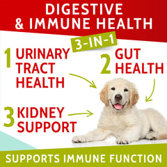 PAWFECTCHEW formule-enzyme-dl-methionine: ingrédients clés pour la protection du gazon.