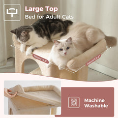 Pawfessor arbre chat rampe access facilite les deplacements vers le perchoir