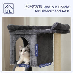 Pawfessor arbre-chat rampe double fonctions: facilite l accès et offre stabilité.