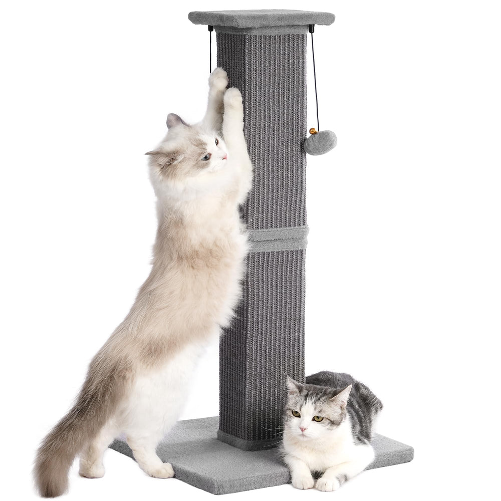 Pawfessor base lourde et stable, idéale pour grands chats et stabilité durable.