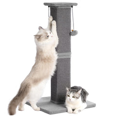 Pawfessor base lourde et stable, idéale pour grands chats et stabilité durable.